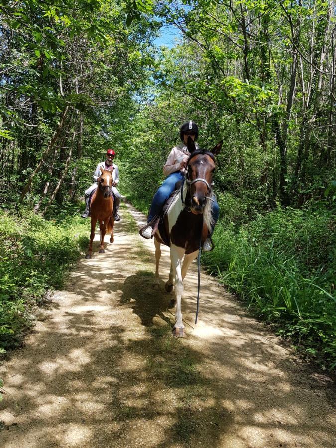 Gite Equestre Domaine Des Crins - Monpazier Capdrot Zewnętrze zdjęcie