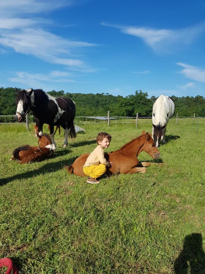 Gite Equestre Domaine Des Crins - Monpazier Capdrot Zewnętrze zdjęcie