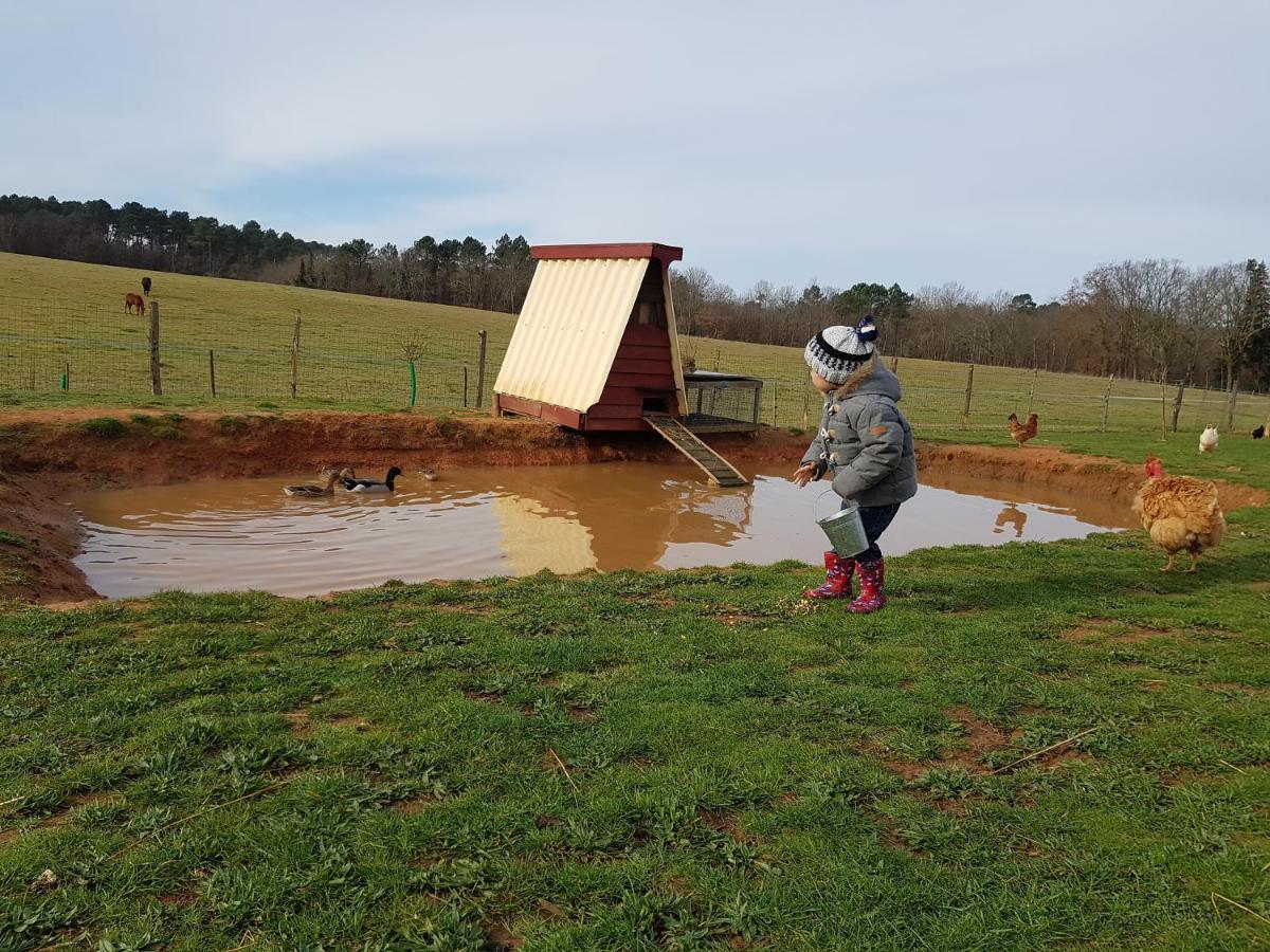 Gite Equestre Domaine Des Crins - Monpazier Capdrot Zewnętrze zdjęcie