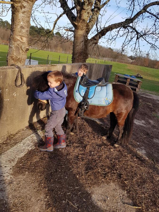 Gite Equestre Domaine Des Crins - Monpazier Capdrot Zewnętrze zdjęcie