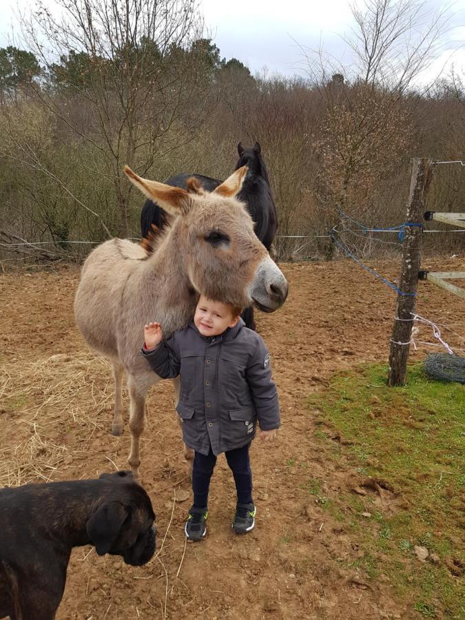 Gite Equestre Domaine Des Crins - Monpazier Capdrot Zewnętrze zdjęcie
