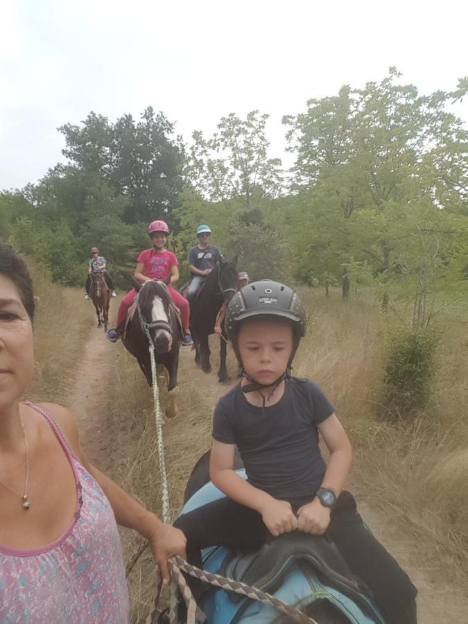 Gite Equestre Domaine Des Crins - Monpazier Capdrot Zewnętrze zdjęcie