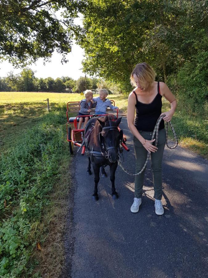 Gite Equestre Domaine Des Crins - Monpazier Capdrot Zewnętrze zdjęcie