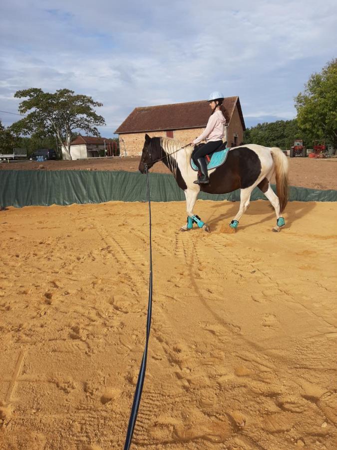 Gite Equestre Domaine Des Crins - Monpazier Capdrot Zewnętrze zdjęcie