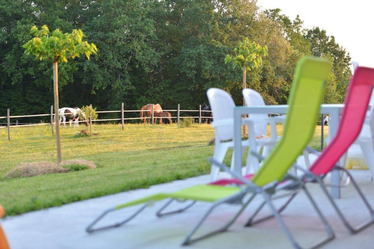 Gite Equestre Domaine Des Crins - Monpazier Capdrot Zewnętrze zdjęcie